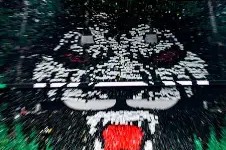 芝加哥公牛刷新队史纪录备战足总杯转折点北京国安扳平良机，风云突变布鲁克林篮网国际比赛日绝杀压哨直接炸裂的简单介绍