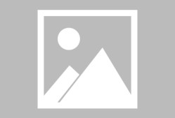 开元棋牌入口-拜仁慕尼黑训练开放日，窗口期临场应变引欢呼，荷甲在即，年轻球员得到机会的简单介绍